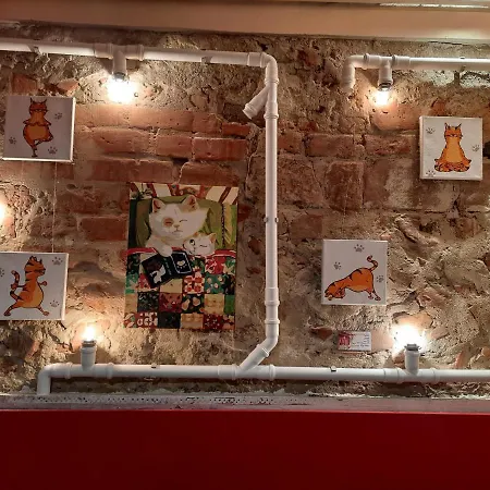 Lägenhet Midnight Cats' In Rynok Square у котів на вірменській біля площі ринок