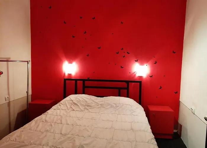 Midnight Cats' In Rynok Square у котів на вірменській біля площі ринок * Lviv