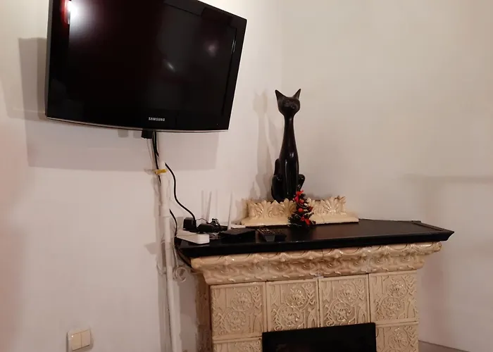 Midnight Cats' In Rynok Square у котів на вірменській біля площі ринок Lviv